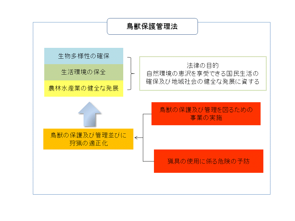 法 鳥獣 保護 管理