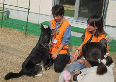 犬とのふれあい