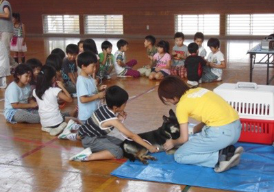 ふれあい教室の様子２の画像