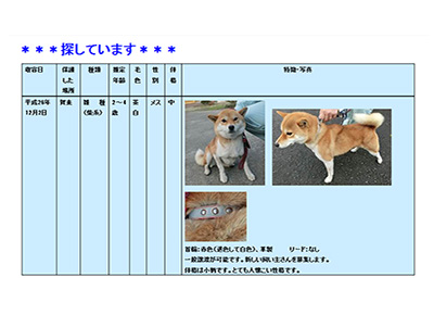 犬の保護収容情報（探しています）