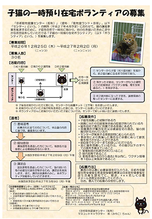 募集チラシの画像