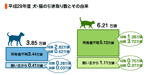 犬・猫の引き取り数とその理由