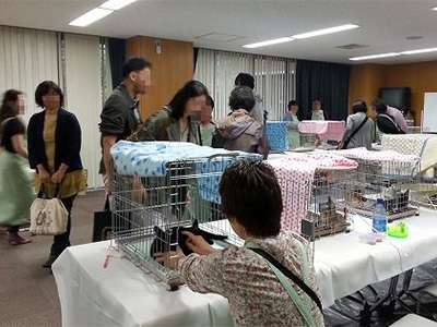 動物との共生推進員主催の譲渡会
の様子