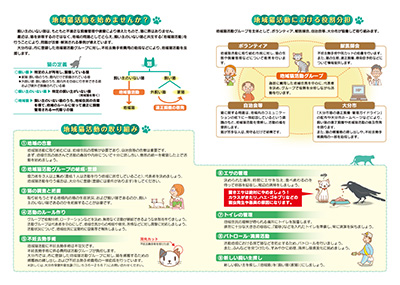 ガイドライン（中面）