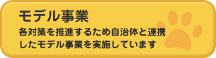 モデル事業のページへ