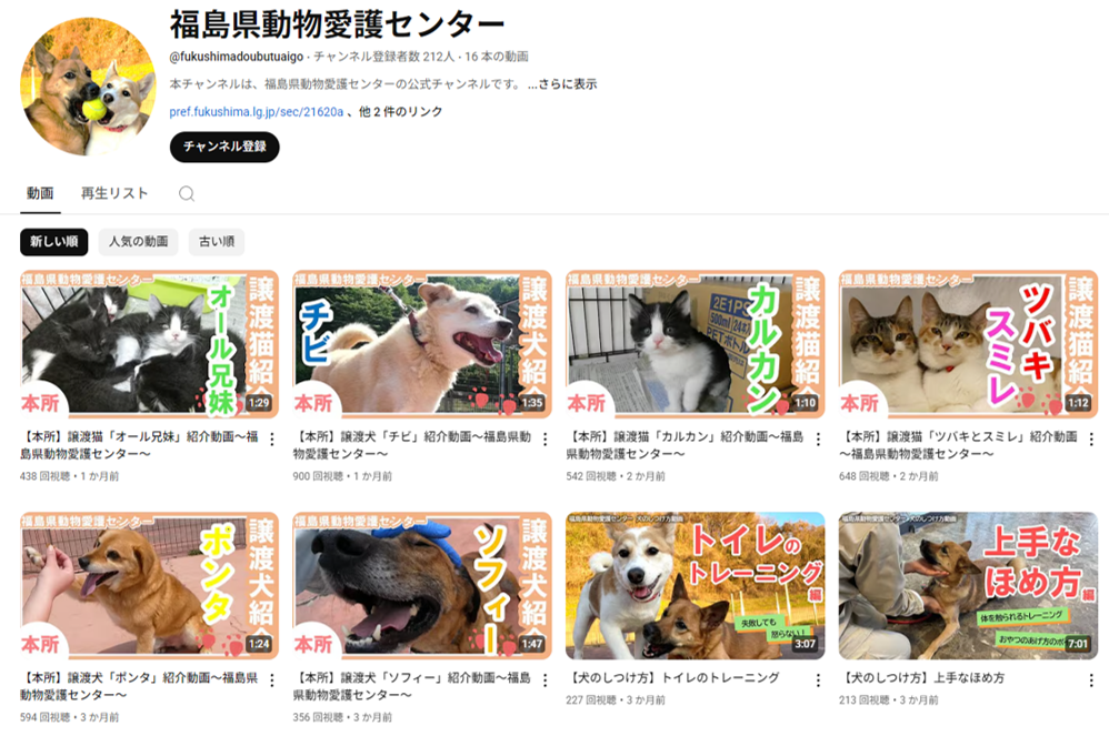 活動内容