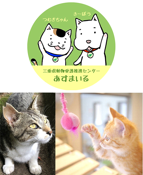 活動内容