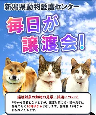 活動内容