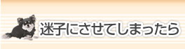 迷子にさせてしまったら