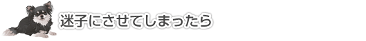 収容動物の情報を掲載している自治体を探す