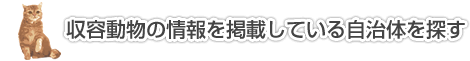 収容動物の情報を掲載している自治体を探す