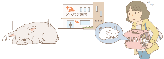 病気の猫を病院に連れていく飼い主と具合が悪い犬のイラスト