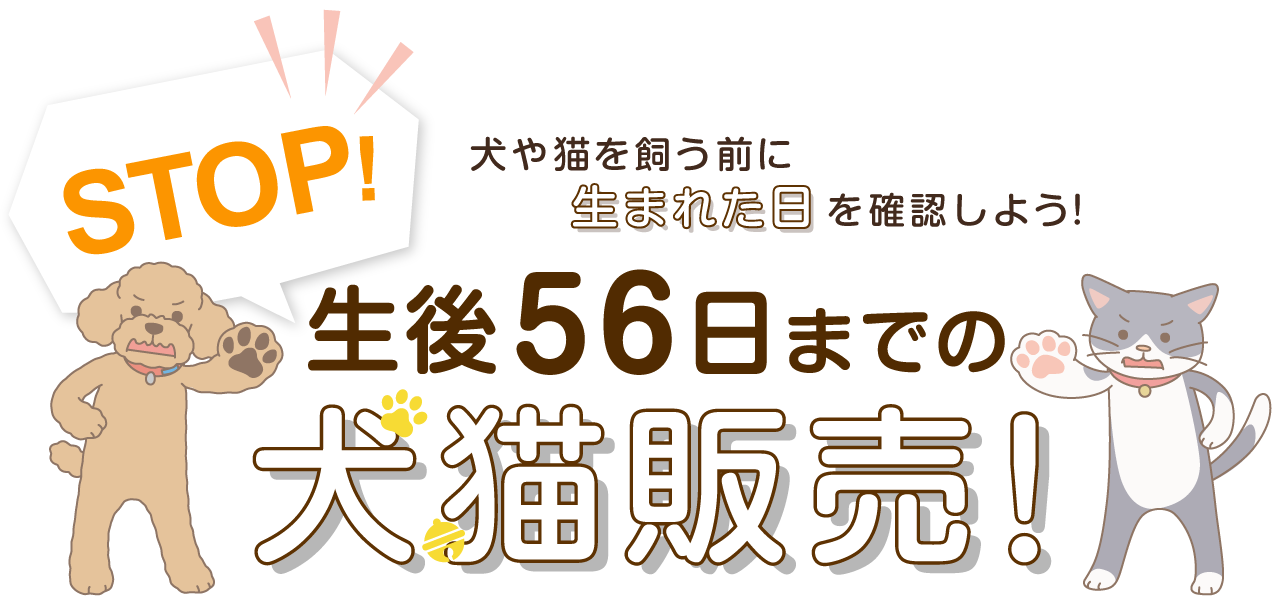 犬や猫を飼う前に生まれた日を確認しよう！STOP!生後56日までの犬猫販売！