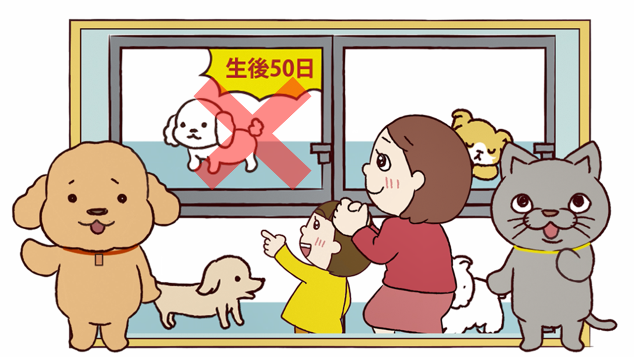 ＳＴＯＰ！生後56日までの犬猫販売～ペットショップ編～