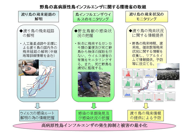 千葉 県 鳥 インフル