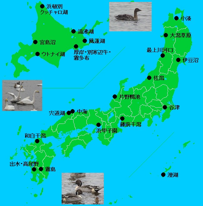 日本地図