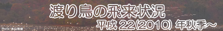 渡り鳥の飛来状況