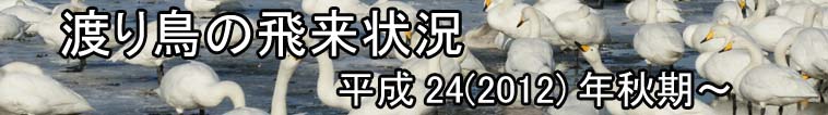 渡り鳥の飛来状況