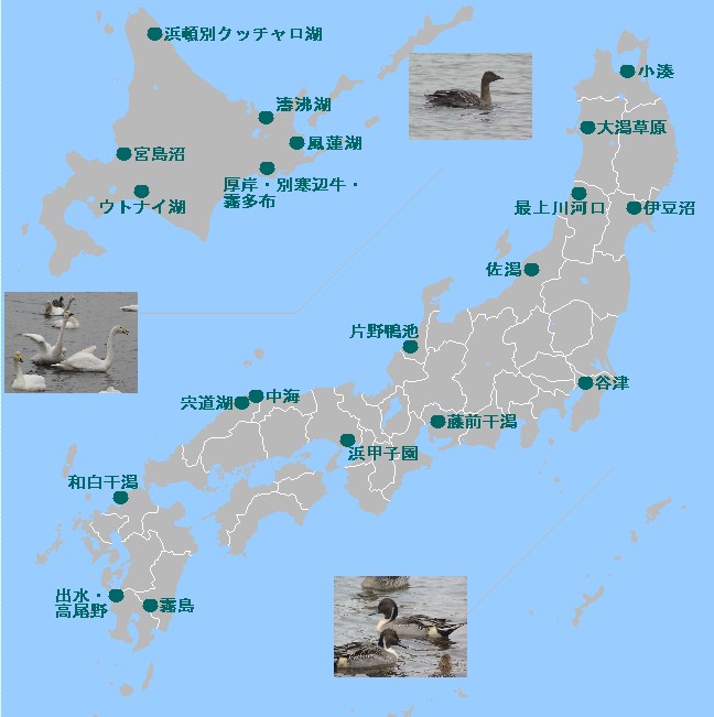 日本地図