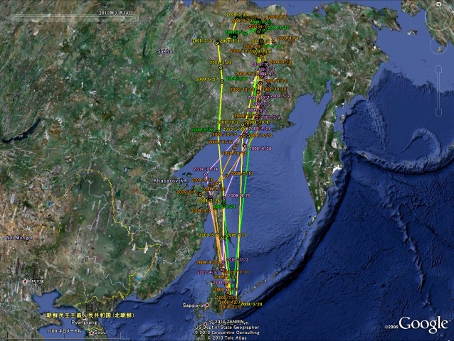 北海道で送信機を装着した個体の移動状況(拡大)