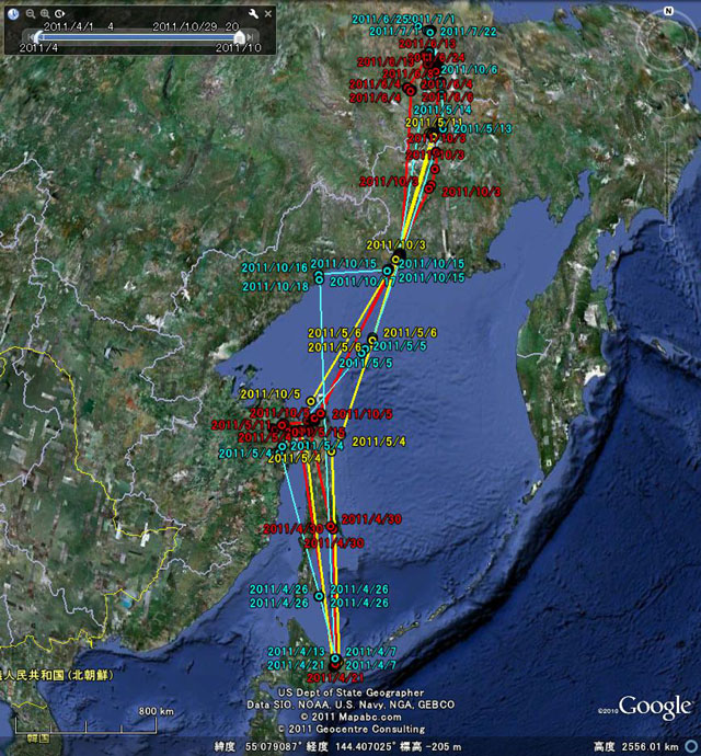 北海道で送信機を装着したオオハクチョウの移動状況(拡大)