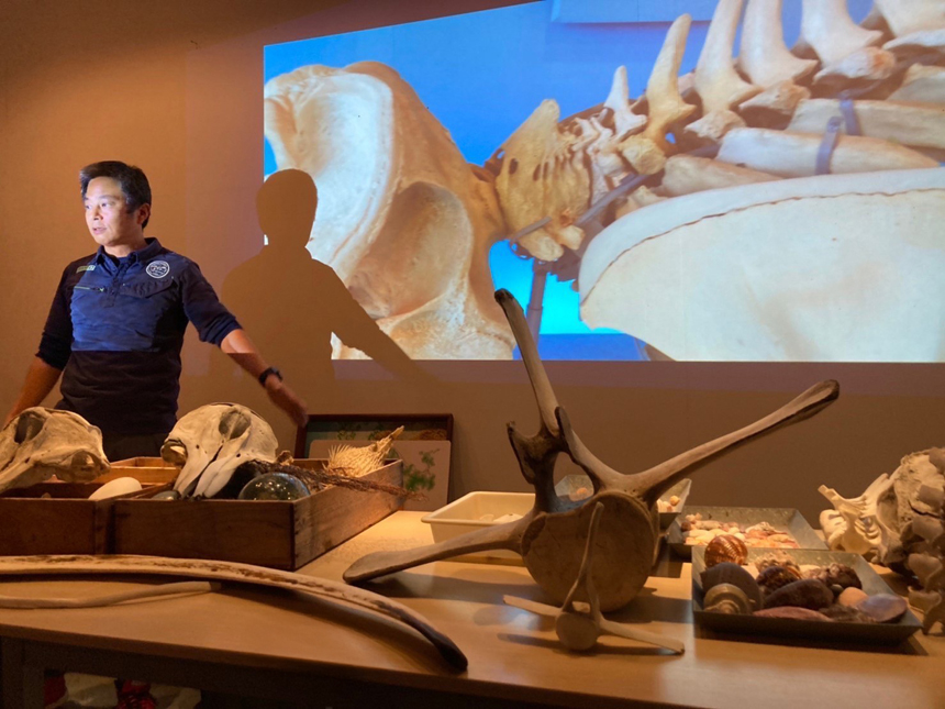 スライダー画像 4枚目