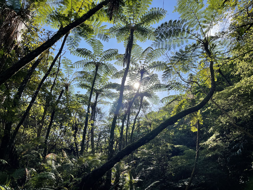 スライダー画像 1枚目