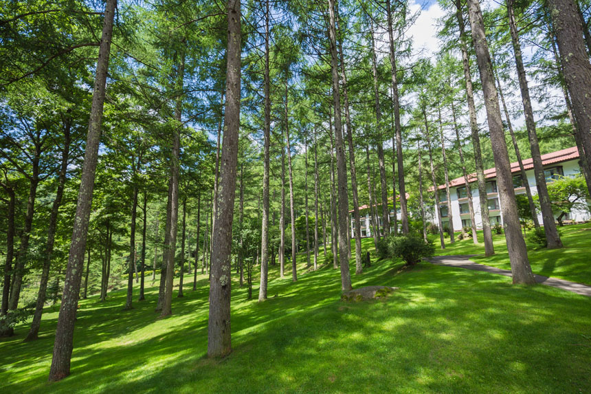 スライダー画像 4枚目