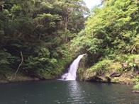 マテリヤの滝（奄美大島）