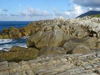 ムシロ瀬とトンバラ岩（徳之島）