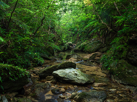 東村2