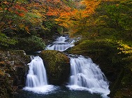 赤目紅葉荷担滝