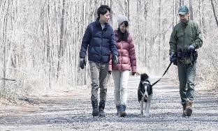 冬の森をベアドッグと歩くツアー