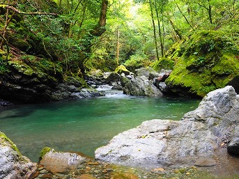 水源地の森