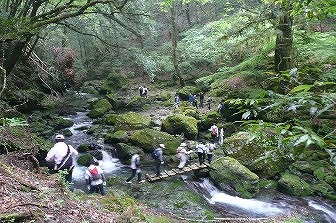 水源地の森ツアー