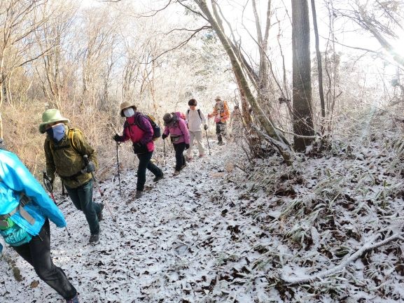 讃岐山脈のトレッキングツアー