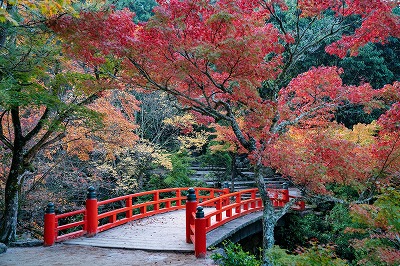 紅葉谷公園