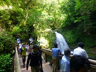 滝の見学ツアー