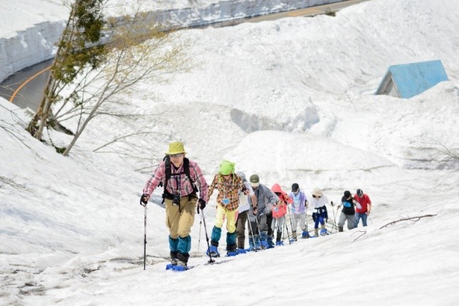 新緑と残雪の森ハイキング