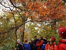 宮津市エコツーリズム推進協議会