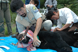 （写真）株式会社ピッキオ