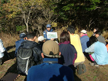 （写真） 吉田口登山道の散策1