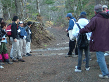 （写真） 吉田口登山道の散策3