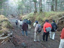 （写真） 吉田口登山道の散策4