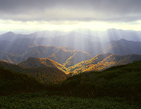 白神山地自然環境保全地域