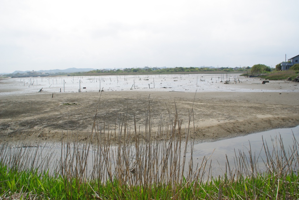 環境省 重要湿地 の詳細情報 一宮川 夷隅川の河口部