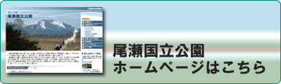 西表石垣国立公園ホームページはこちら