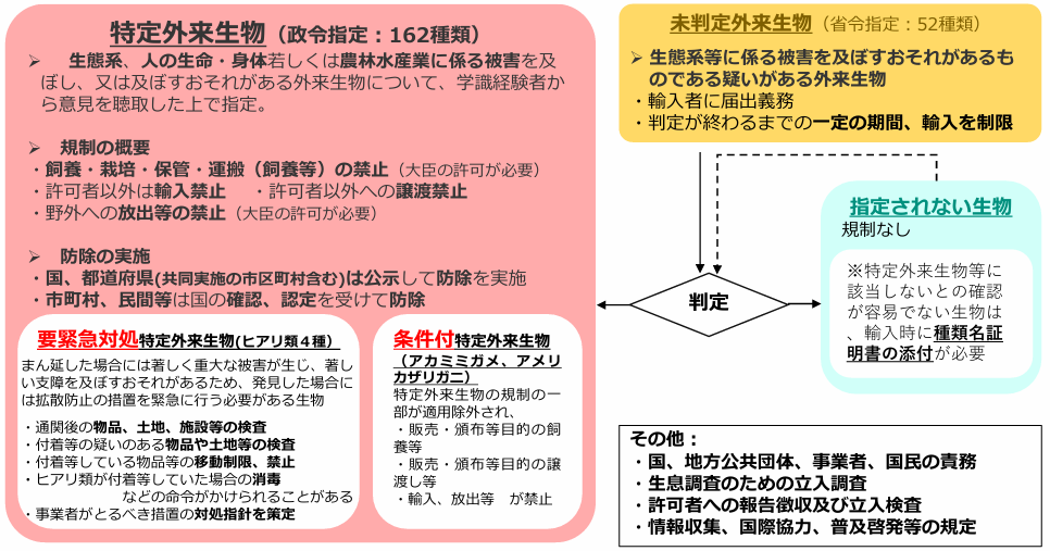 外来生物法では特定外来生物のほか未判定外来生物、種類名証明書の添付が必要な生物も定められています。