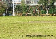 公園