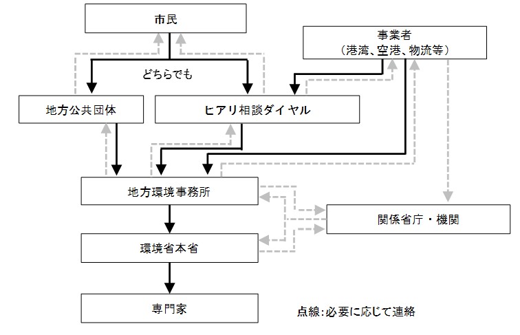 ヒアリと疑わしいアリを確認したときの連絡体制
